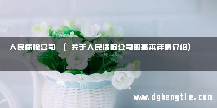 人民保险公司 (关于人民保险公司的基本详情介绍)